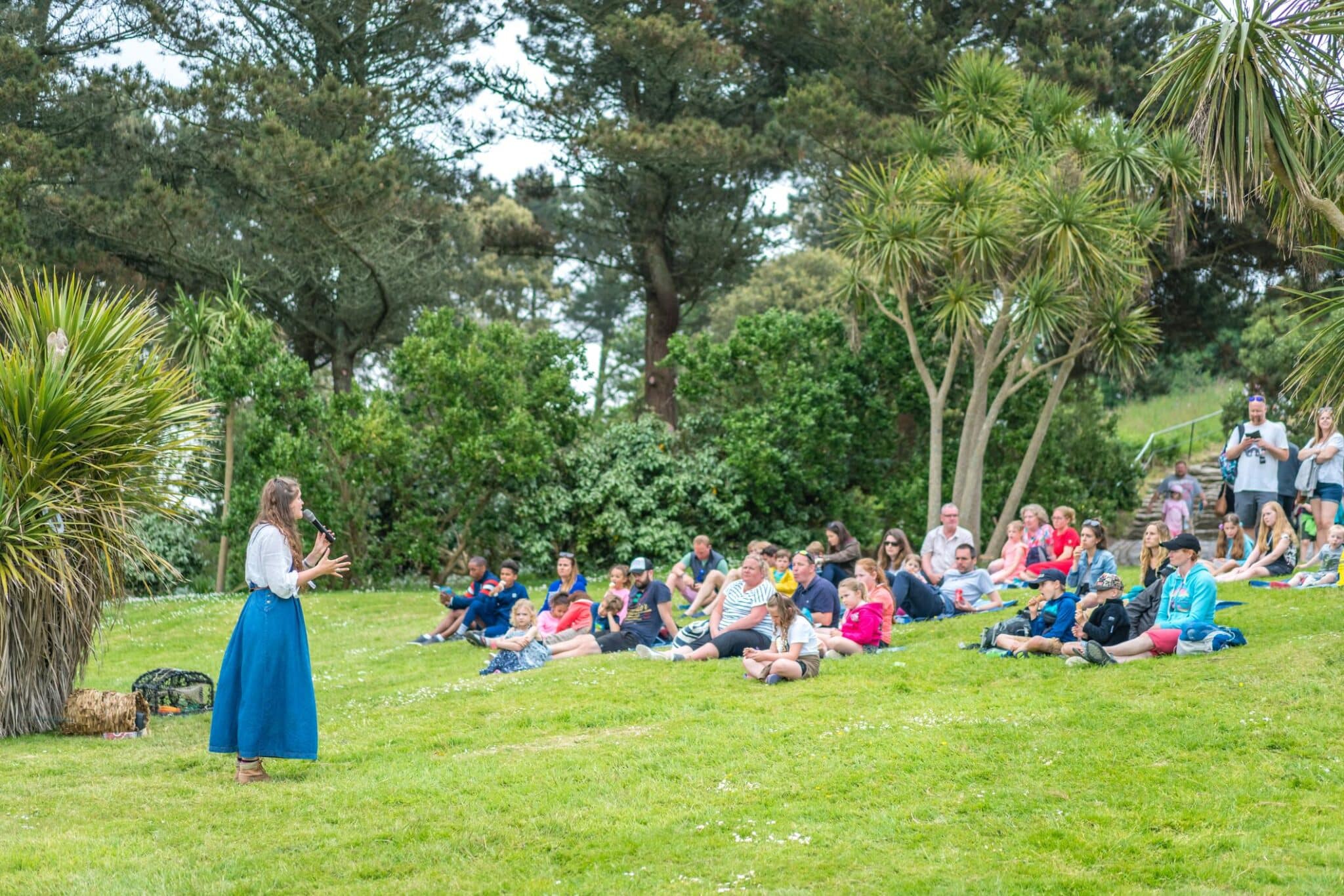 storyteller audience