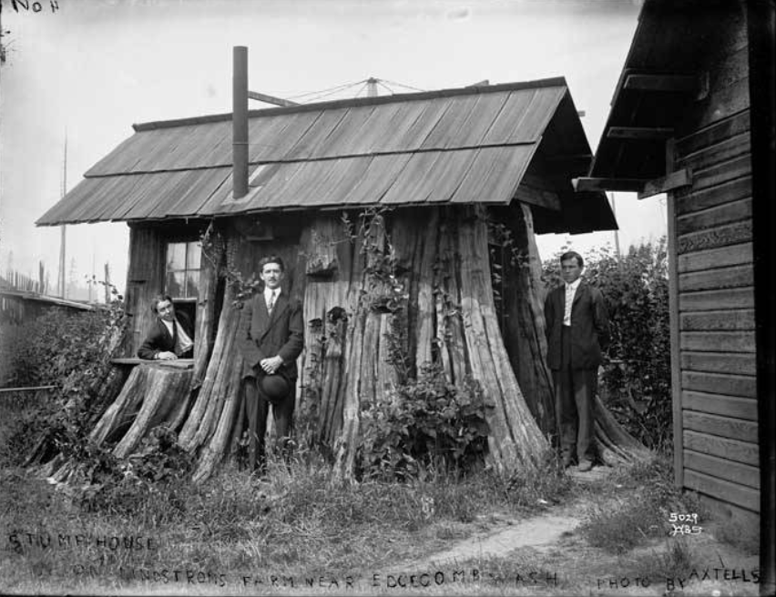 two room stump house