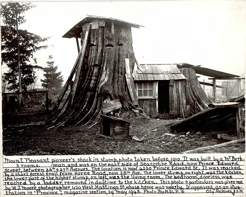 tree stump house