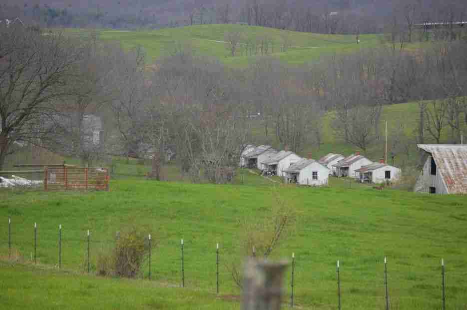 Wythe County, VA, Appalachian Poorhouse Farm