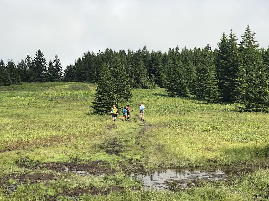 Hikers on a trail through open meadows and spruce forest in Dolly Sods Wilderness.