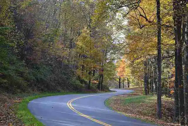 Scenic autumn curve on the Blue Ridge Parkway during a Blue Ridge Parkway getaway.