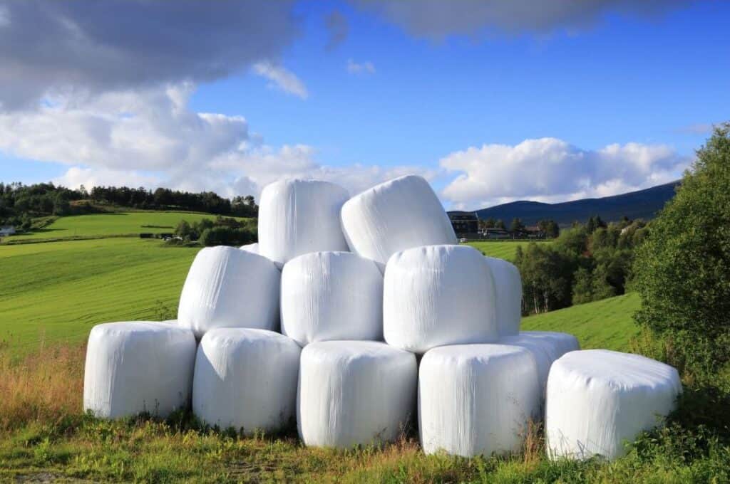 White plastic-wrapped silage bales are often seen in blue ridge hayfields.