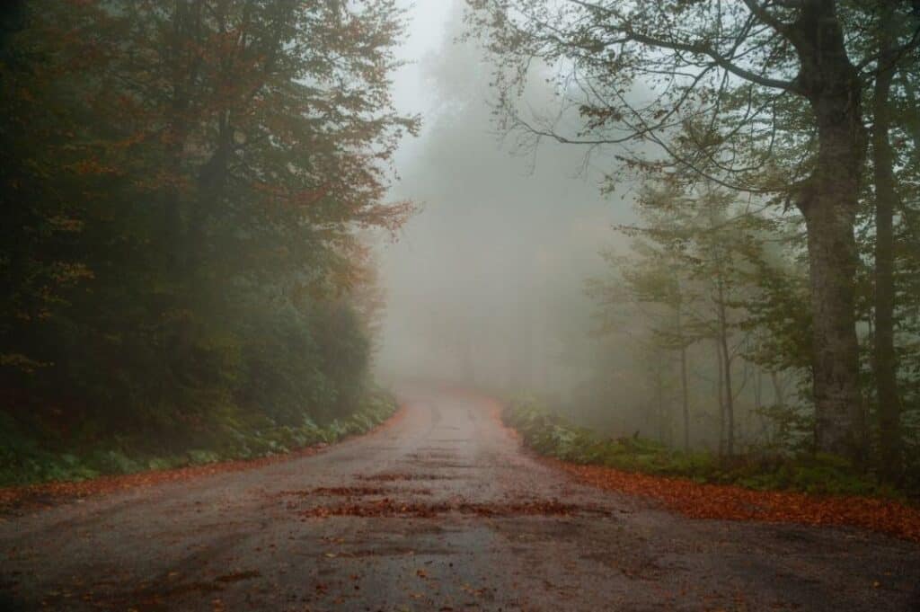 Fog drifts along a mountain road in the Blue Ridge, symbolizing Appalachian isolation.