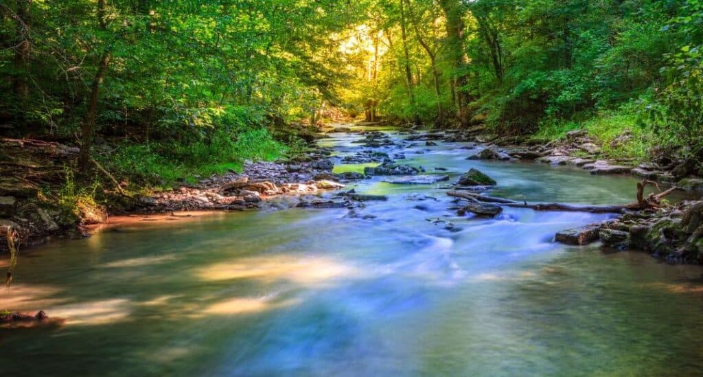 Creek winding through eastern Kentucky hills, a reminder of Appalachian isolation.