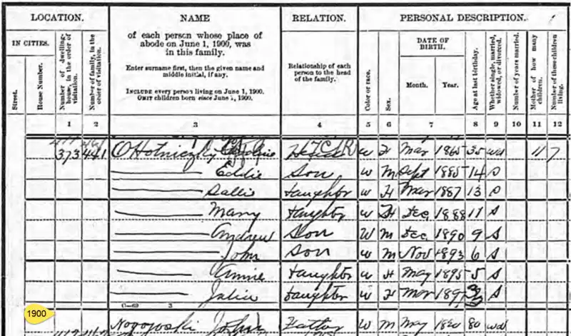 Historic census ledger used in Appalachian family history research.