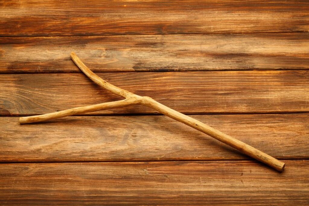 A forked peach or willow branch used as a traditional dowsing tool.