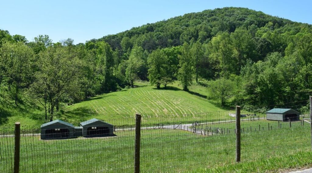 Rolling Appalachian hillside shaped by fields and fence lines
