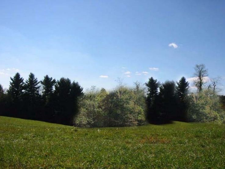 Blue Ridge Parkway CCC landscaping concept showing proposed evergreen screening along an open meadow.