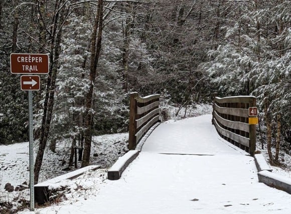 Snow-covered bridge on the Virginia Creeper Trail showing a quiet winter stretch near Green Cove.