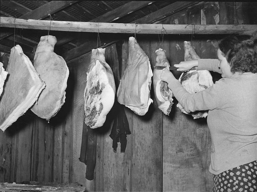 Salt-cured hams hanging in a smokehouse, showing how whole cuts were preserved differently from canning sausage.