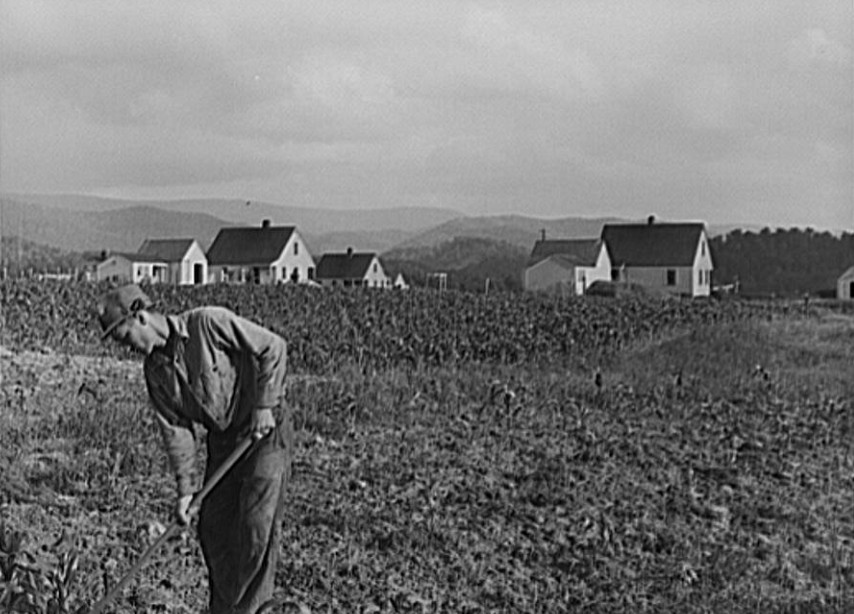 Homesteader working a garden near company housing during the early twentieth century. An everyday Appalachian scene often reduced to stereotypes rather than understood in context..