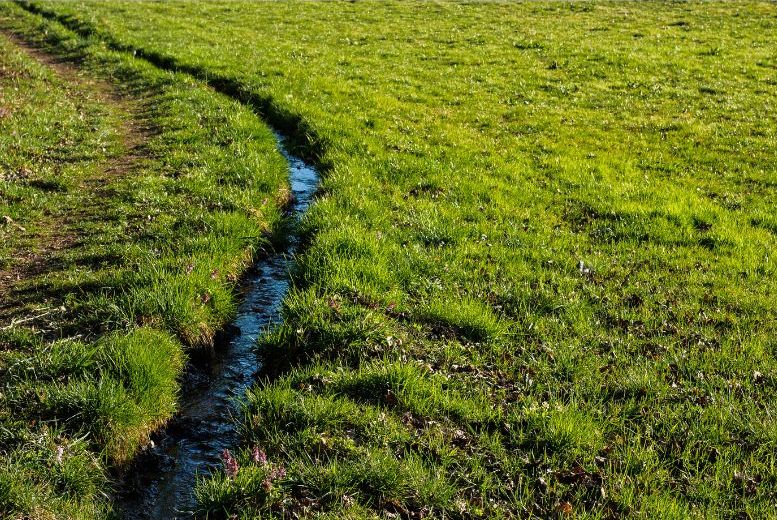 Shallow drainage trench carrying runoff through grassy field