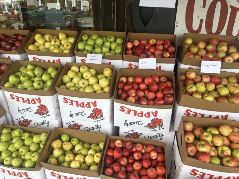 Boxes of mountain apples sorted by variety at a roadside market