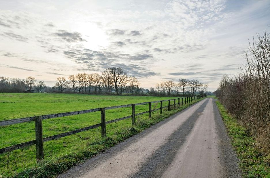 Rural fence line bordering a field and narrow country road