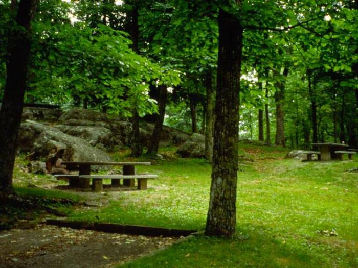 Shaded picnic tables at Rocky Knob campground