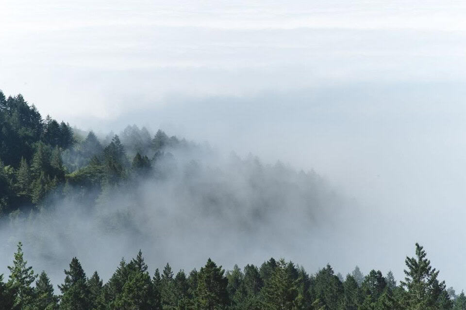 Low clouds moving across Blue Ridge trees and reducing visibility