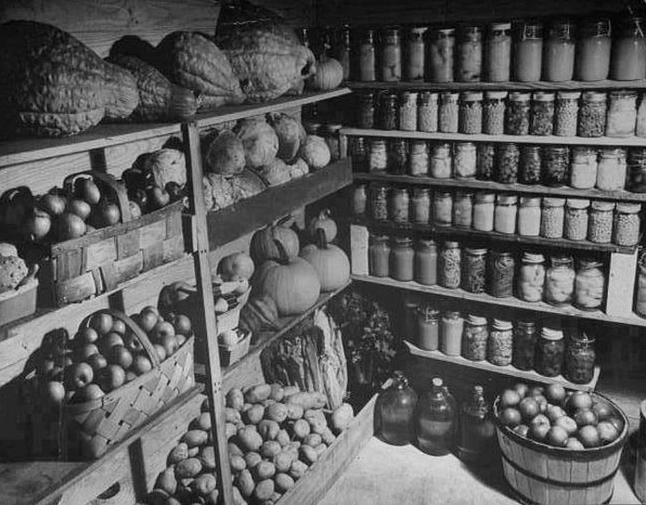 Shelves inside a root cellar filled with stored vegetables and jars prepared for winter use.