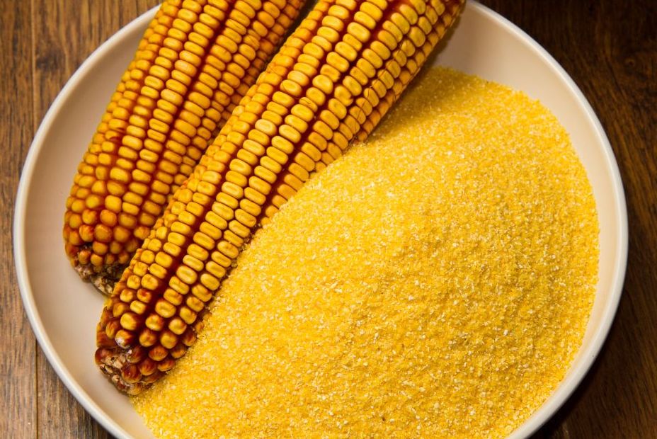 Dried corn and ground meal used for Appalachian cornbread