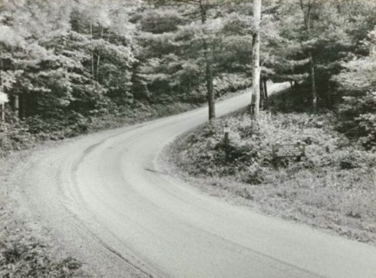 Jefferson National Forest road following a curve along a mountain slope