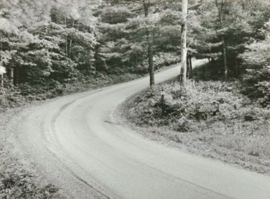 Jefferson National Forest road following a curve along a mountain slope