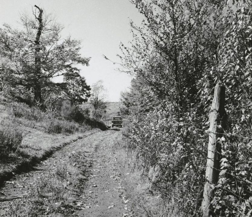 narrow gravel forest road with vehicle showing typical driving conditions