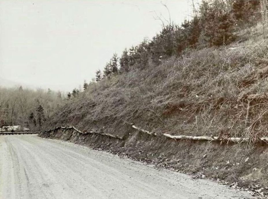 Jefferson National Forest road cut into a hillside with visible drainage and slope control