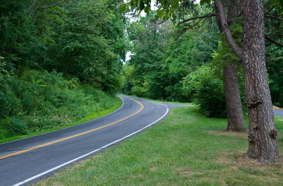 Curving road beneath dense canopy in the Southern Appalachian Forest