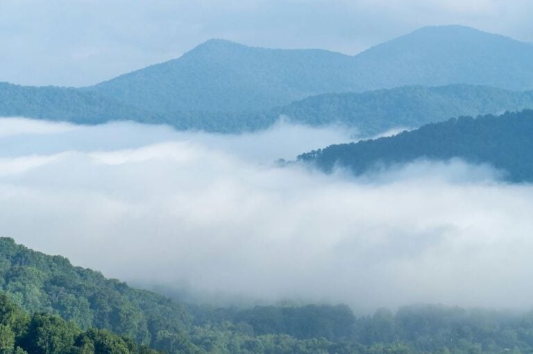 Morning fog settles across layered ridges in the Southern Appalachian Forest
