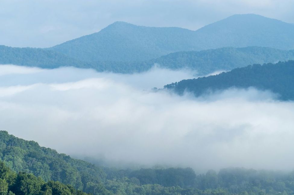 Morning fog settles across layered ridges in the Southern Appalachian Forest