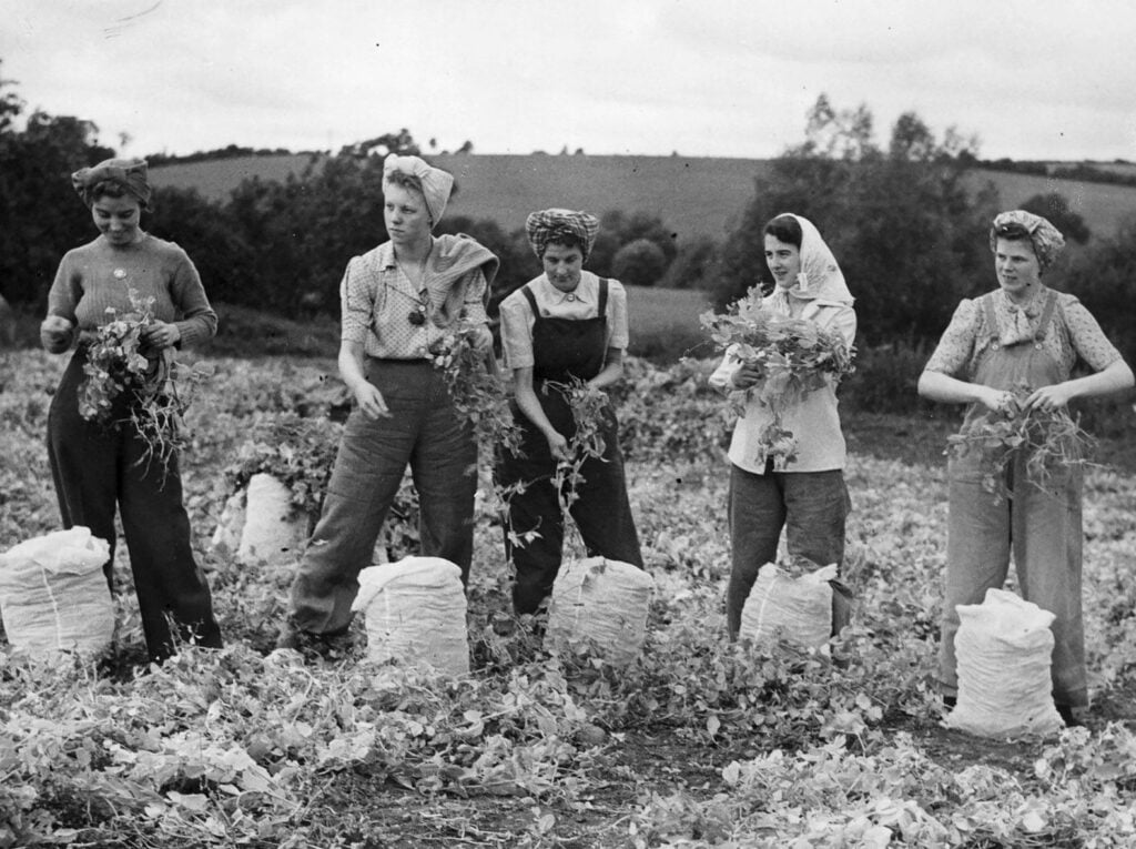Women working farm fields during World War II labor shortages in rural Virginia