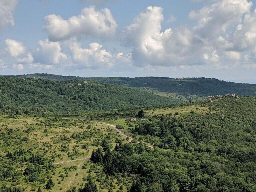 Grayson Highlands open balds and forested ridges viewed from Big Pinnacle