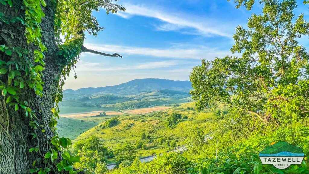 Hilly valley with green fields under a blue sky, framed by trees and ivy in the foreground; a Tazewell, Virginia sign appears in the lower right corner.