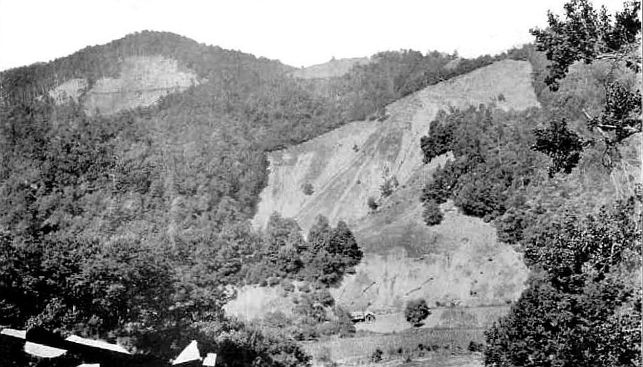 Logged-over forest covered with stumps and debris on Mount Mitchell, North Carolina, in 1923