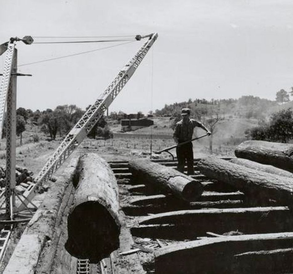 Mill worker handling large logs beside mechanical lifting equipment