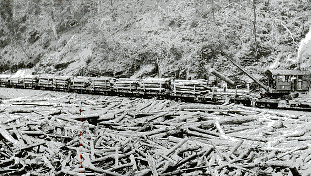 Steam locomotive beside a large accumulation of logs at an early twentieth-century logging operation